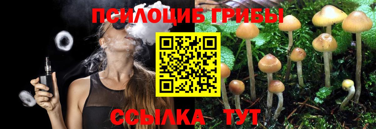 Псилоцибиновые грибы GOLDEN TEACHER Ипатово