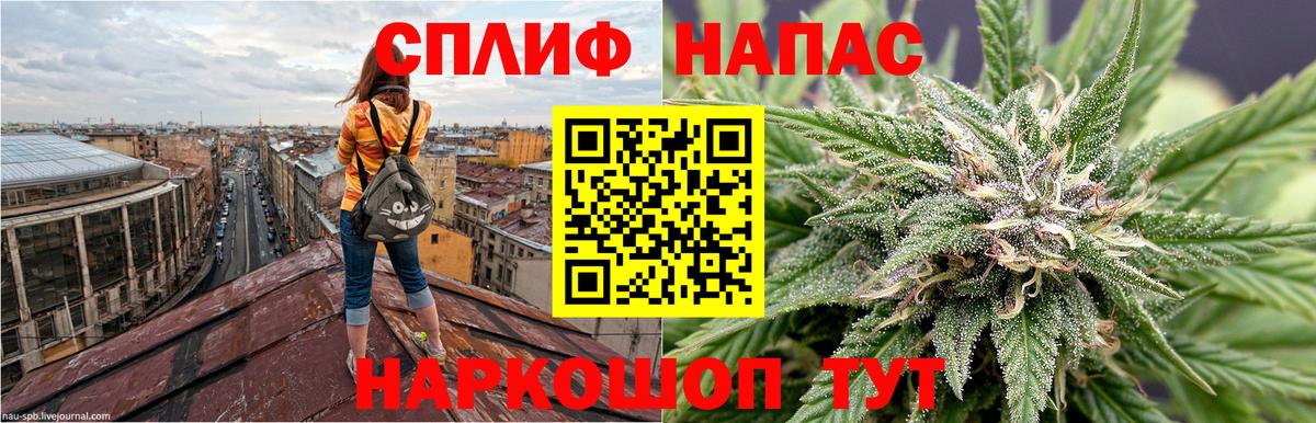 Канабис планчик Ипатово